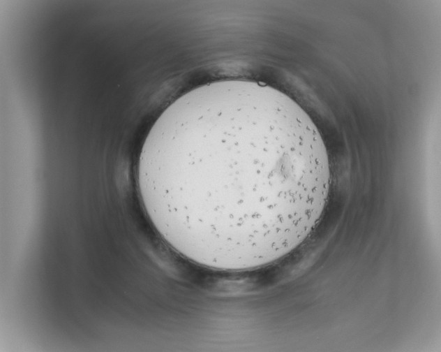 X0000110930213200907161546