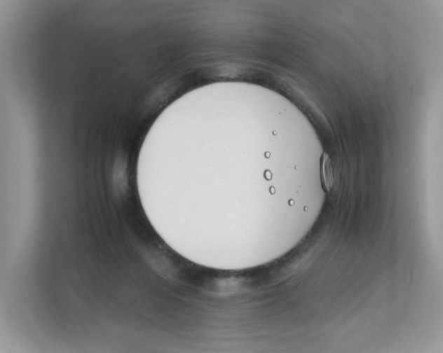 X0000110930216200907161546