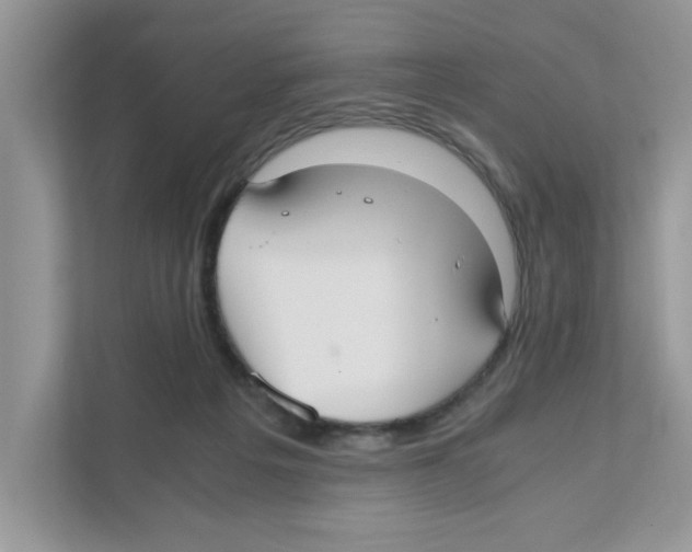X0000110930217200907161545