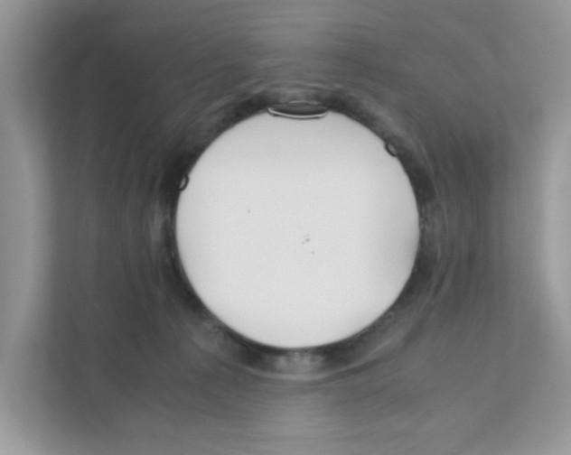 X0000110930225200907161545
