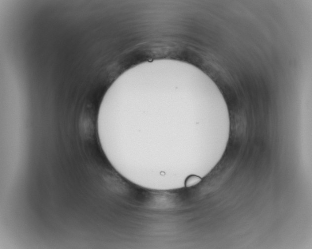 X0000110930226200907161545