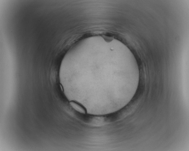 X0000110930227200907161545