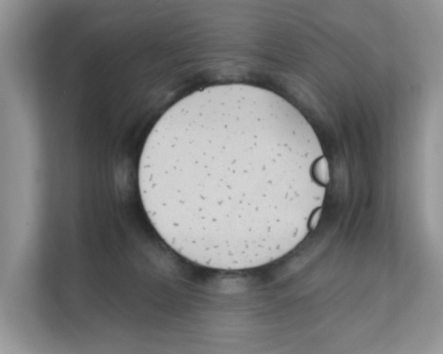 X0000110930228200907161545
