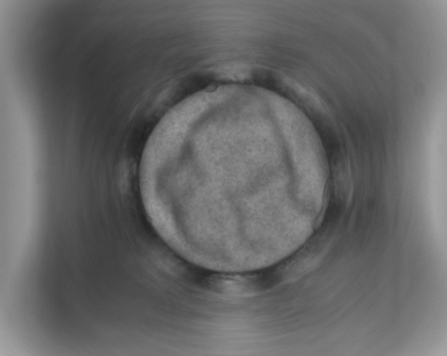 X0000110930229200907161545