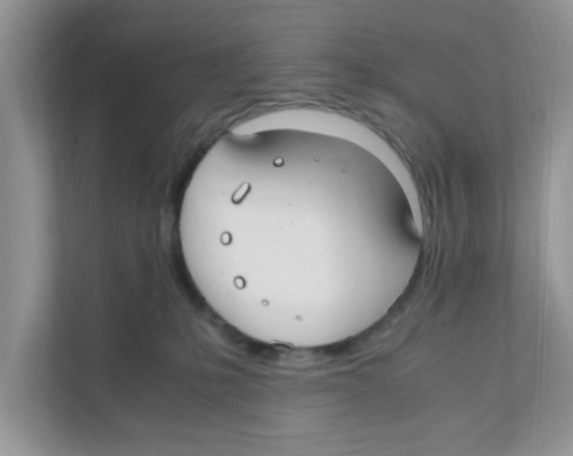 X0000110930231200907161545