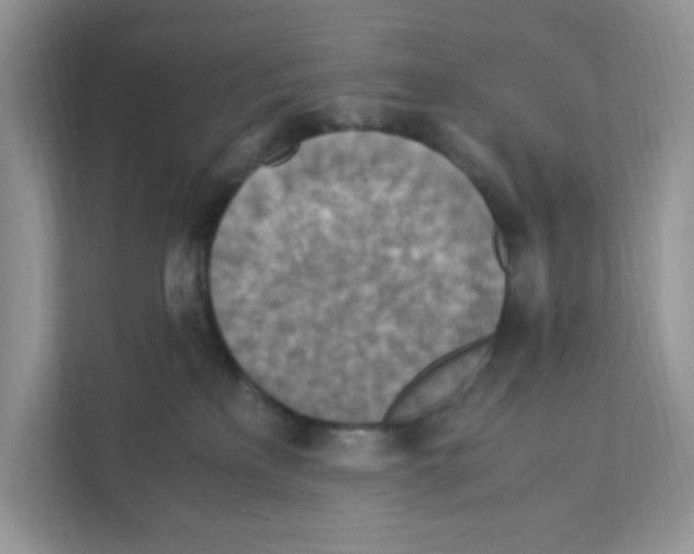 X0000110930233200907161545