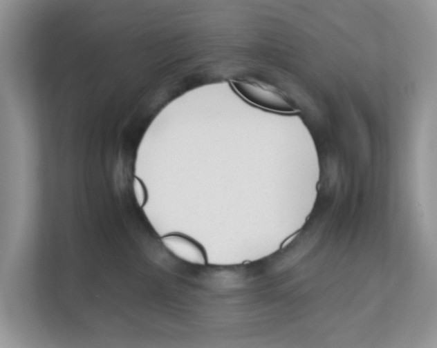 X0000110930236200907161545