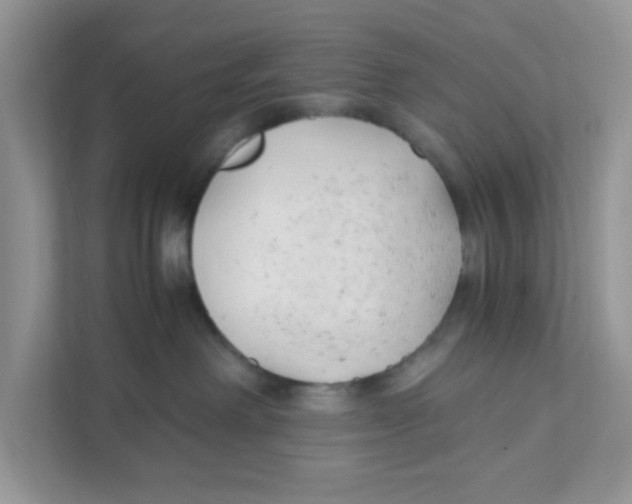 X0000110930238200907161545