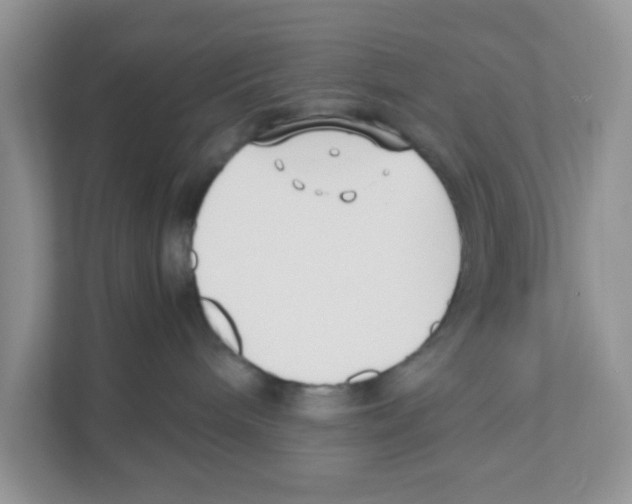 X0000110930240200907161545