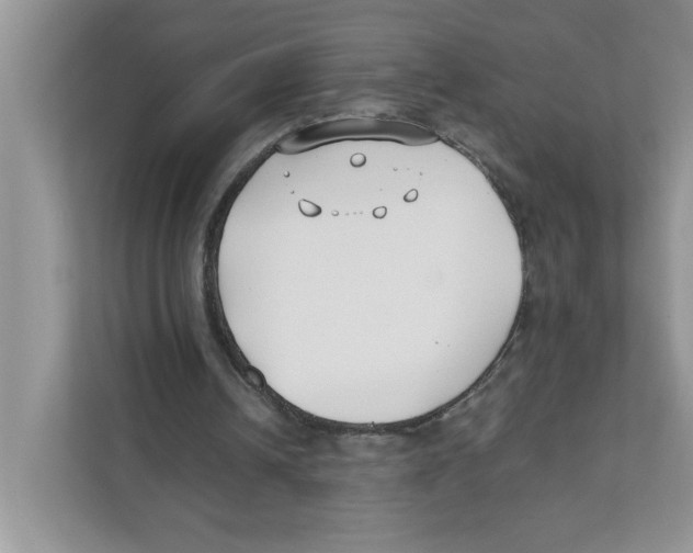 X0000110930242200907161545