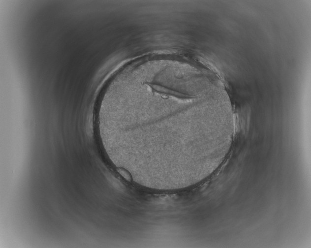 X0000110930243200907161545