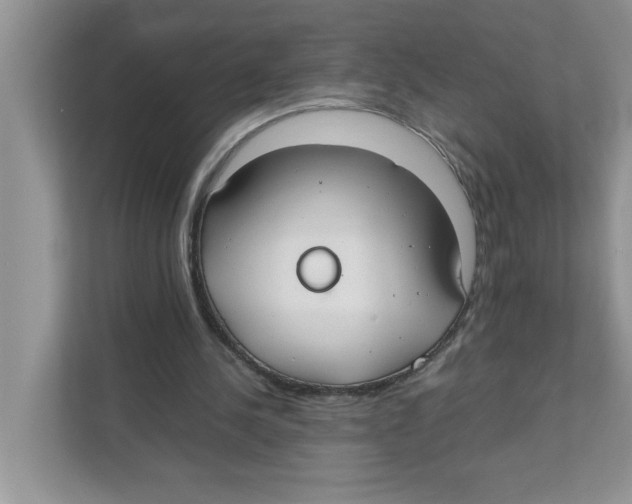 X0000110930244200907161545