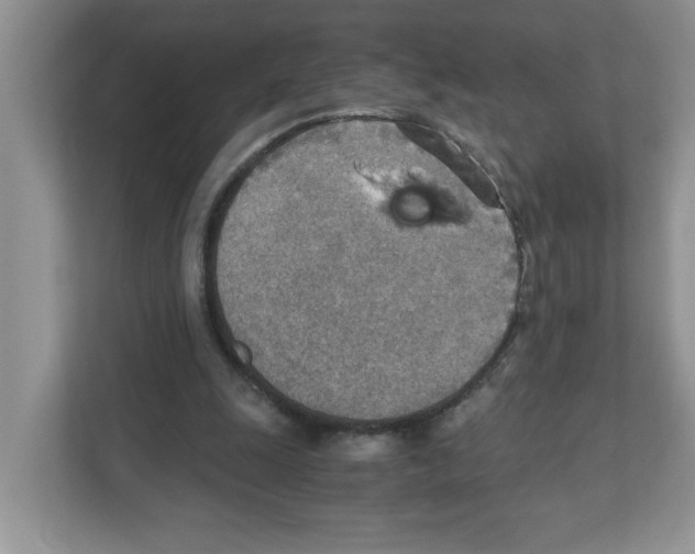 X0000110930247200907161545