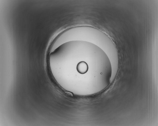 X0000110930248200907161545