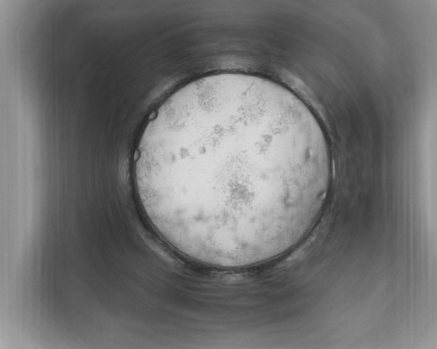 X0000110930249200907161545