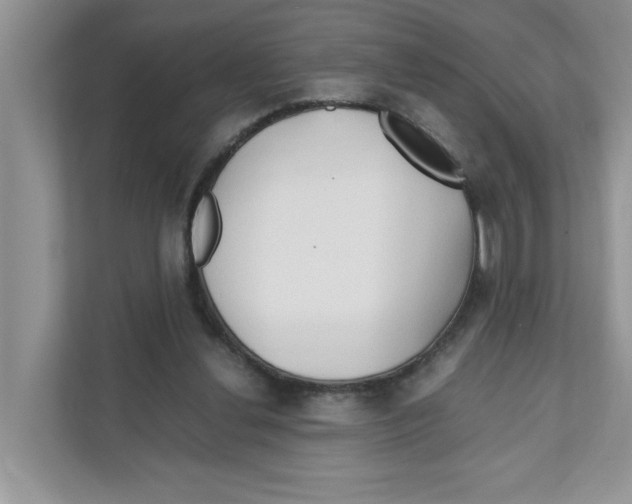 X0000110930252200907161545