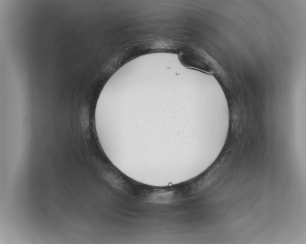 X0000110930257200907161545