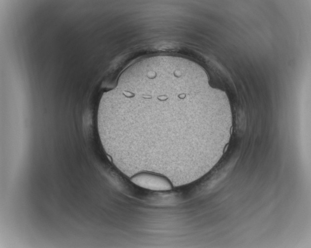 X0000110930260200907161545
