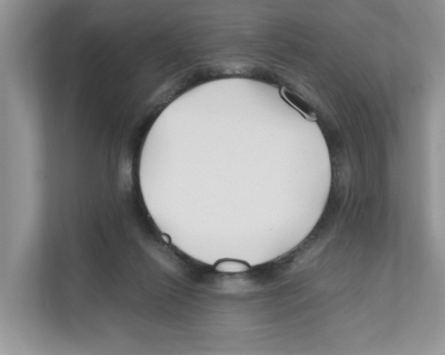 X0000110930262200907161545