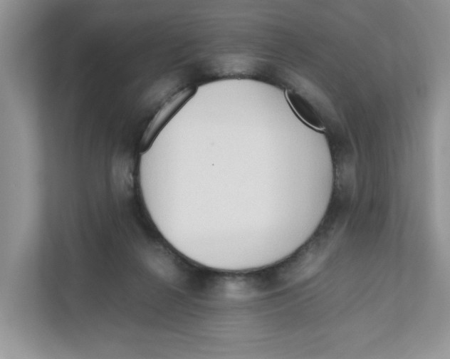 X0000110930264200907161545