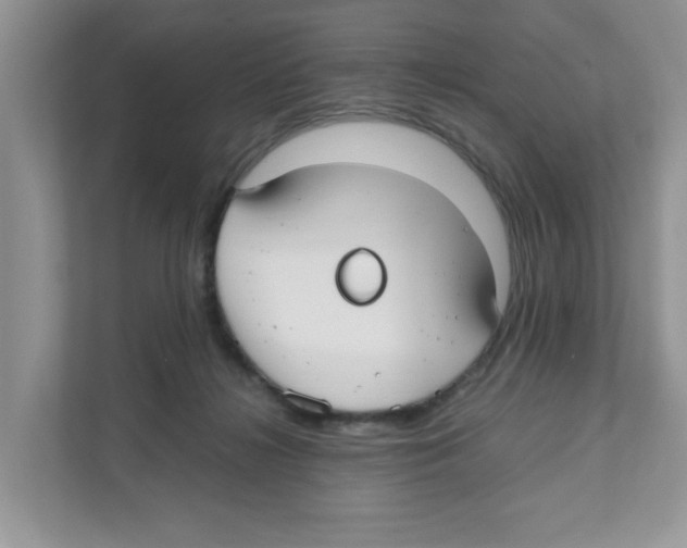 X0000110930268200907161545
