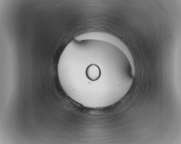 X0000110930272200907161545