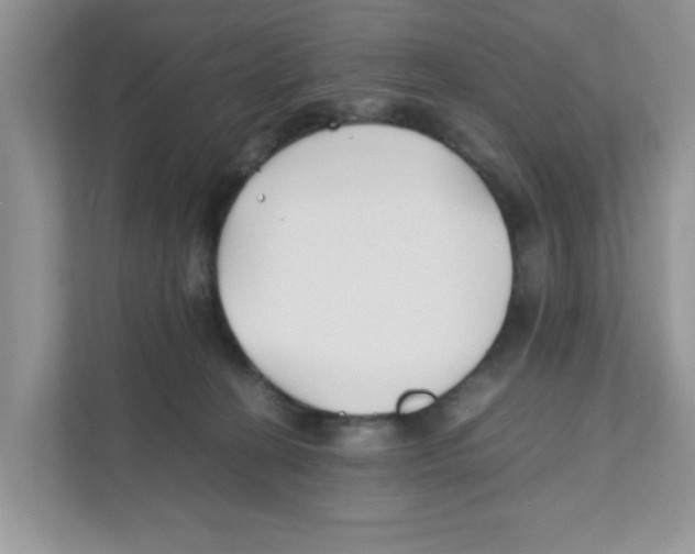 X0000110930274200907161545