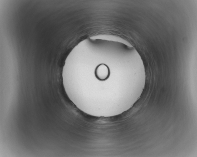 X0000110930280200907161545