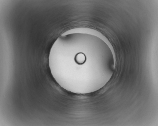 X0000110930284200907161545