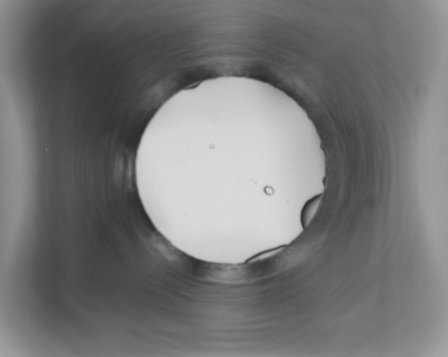 X0000110930288200907161545