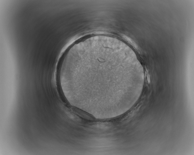 X0000110930292200907161545