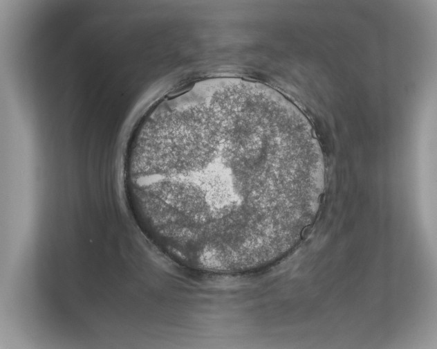 X0000110930293200907161545