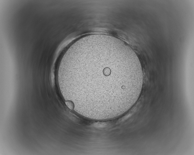 X0000110930294200907161544