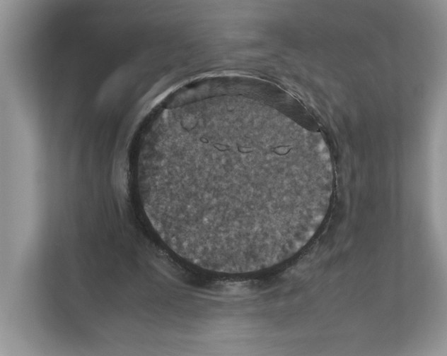 X0000110930295200907161544