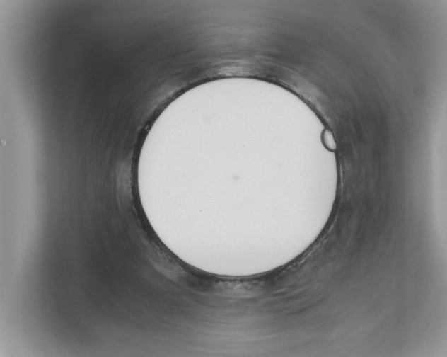 X0000110930297200907161544