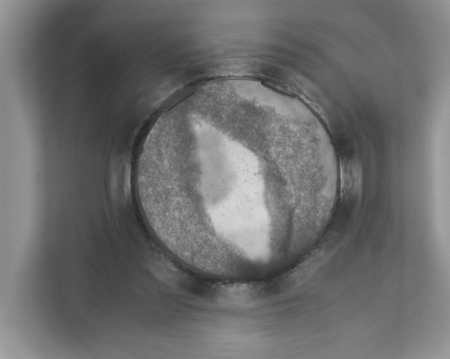 X0000110930301200907161544