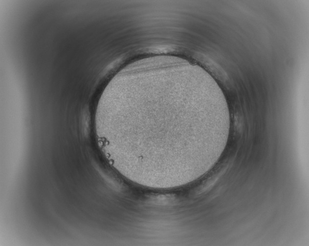 X0000110930304200907161544