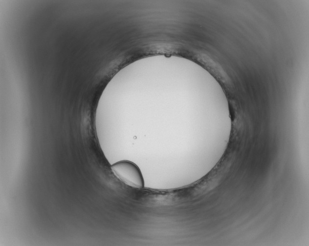 X0000110930306200907161544