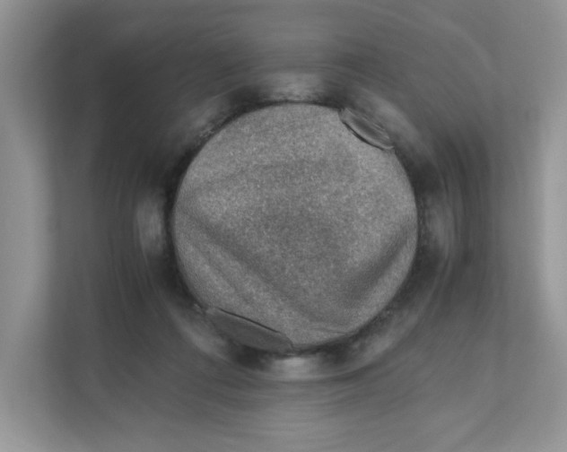 X0000110930312200907161544