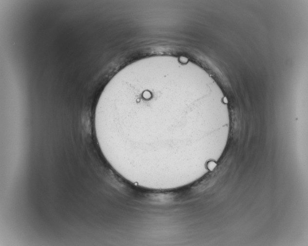 X0000110930313200907161544