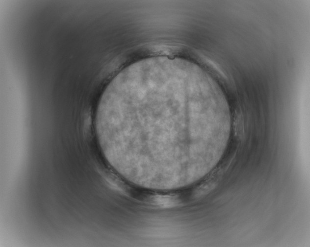 X0000110930314200907161544