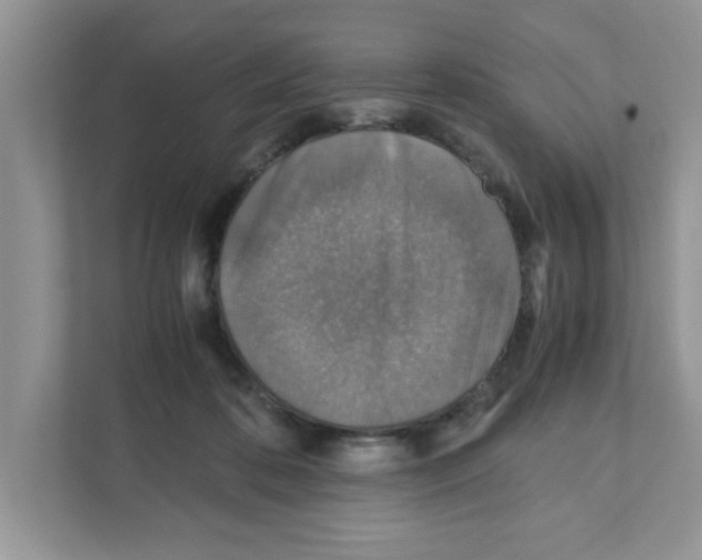 X0000110930316200907161544