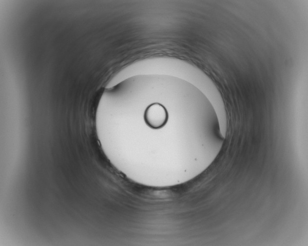 X0000110930324200907161544