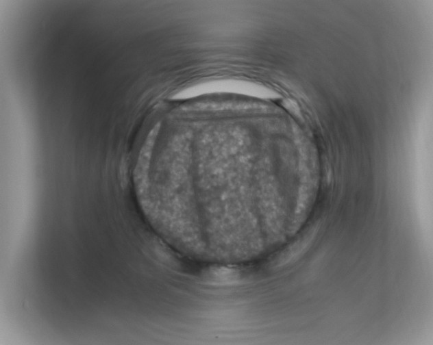 X0000110930325200907161544