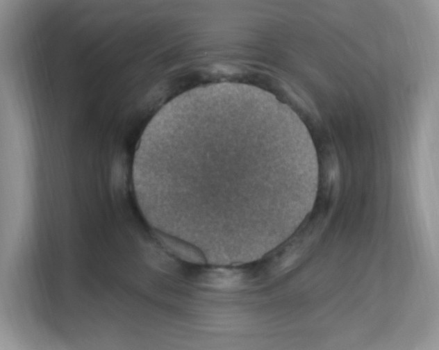 X0000110930328200907161544