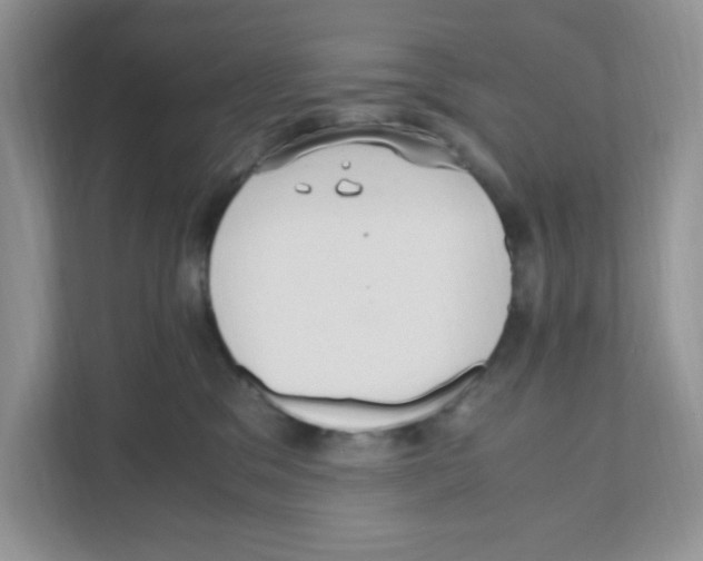X0000110930329200907161544