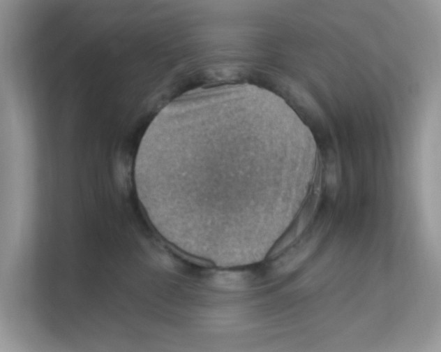 X0000110930332200907161544