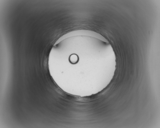 X0000110930336200907161544