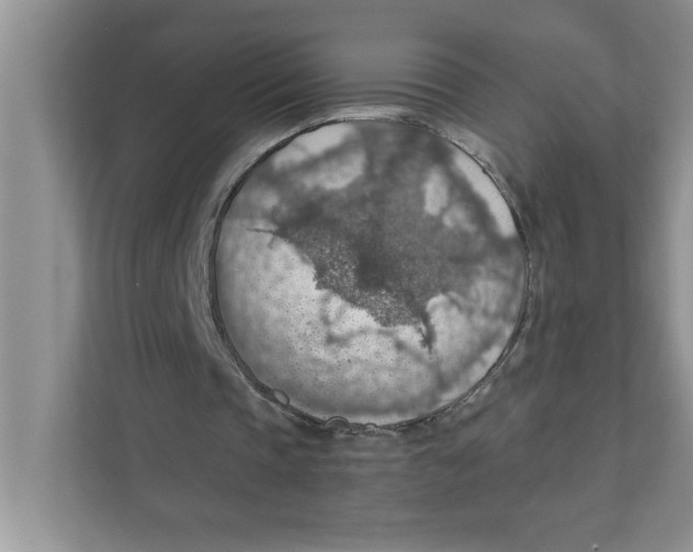 X0000110930337200907161543