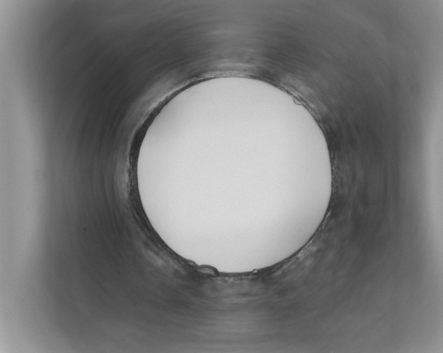 X0000110930338200907161543